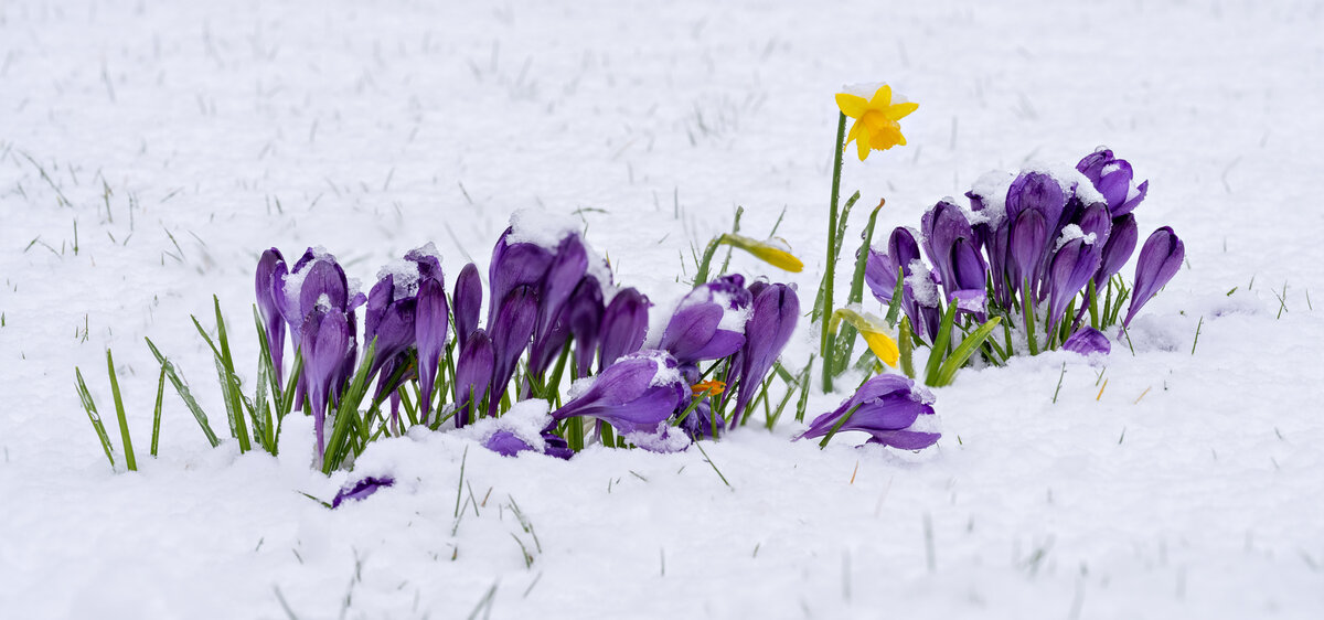 8523 8524 focus stack.jpg