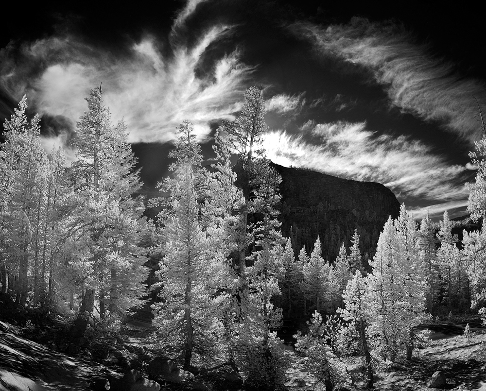 86-90BW copy.jpg