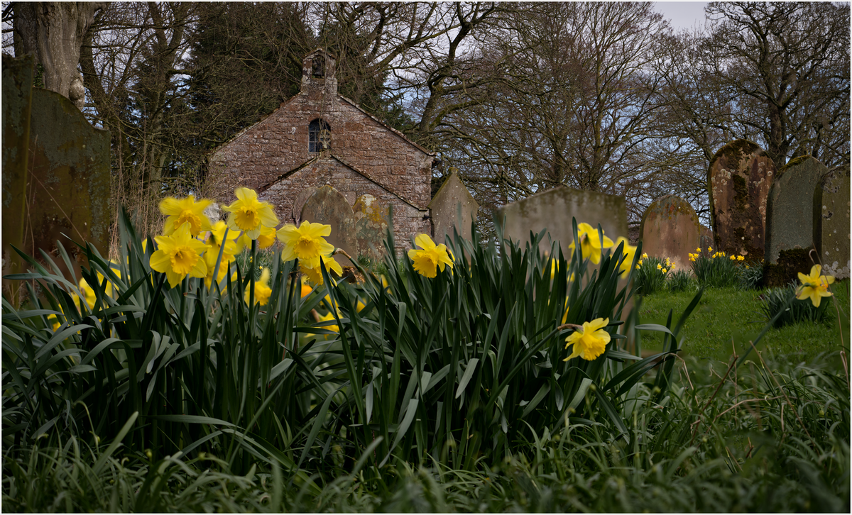 Spring at last | Focal World