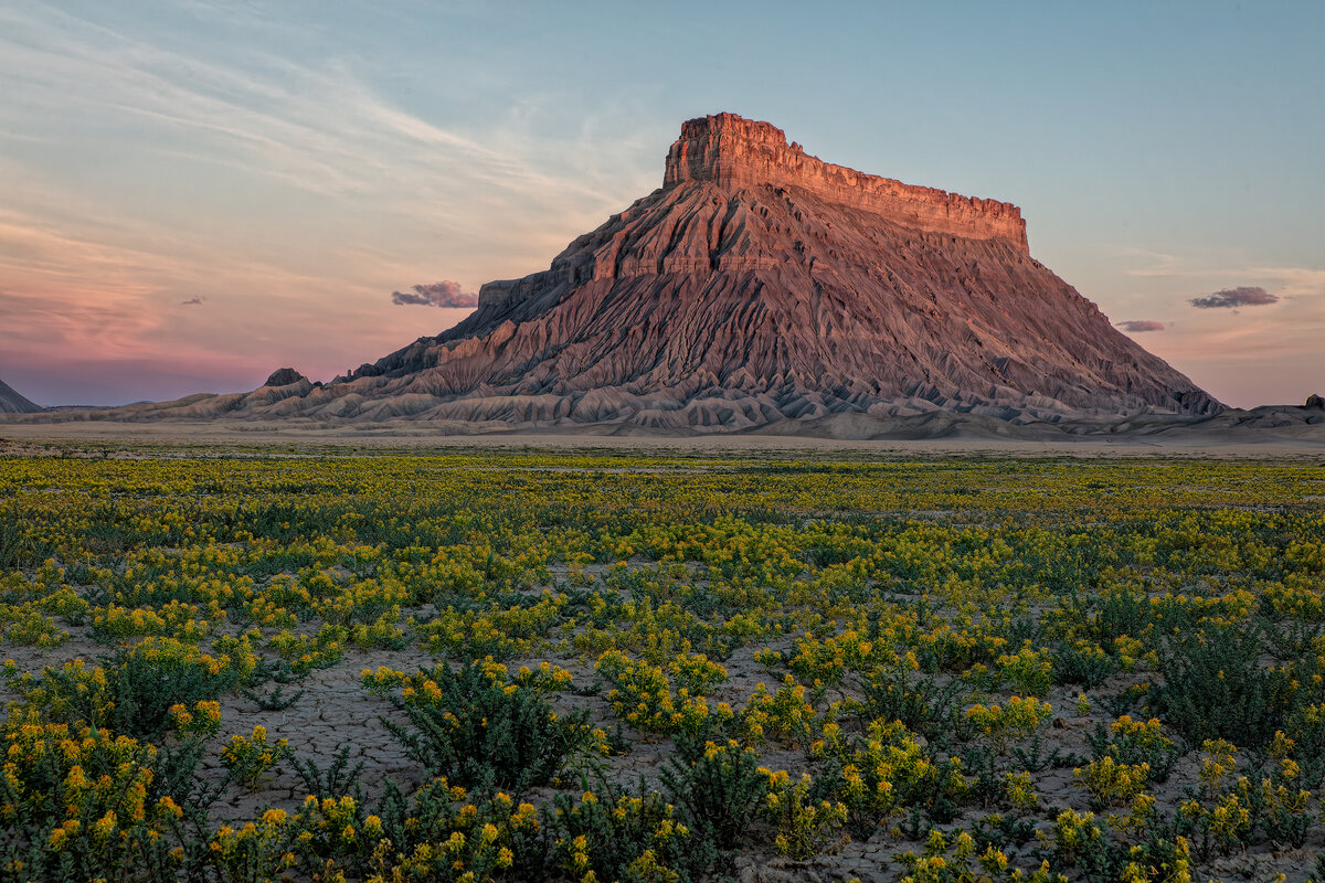 9-190606-10238-5DS R-CR2_DxO_DeepPRIME.jpg