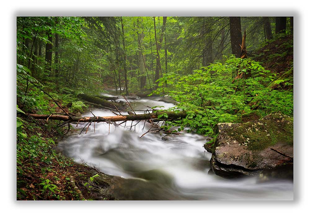 9 Cnr Stream-17 Downstream mist 01 Display.jpg