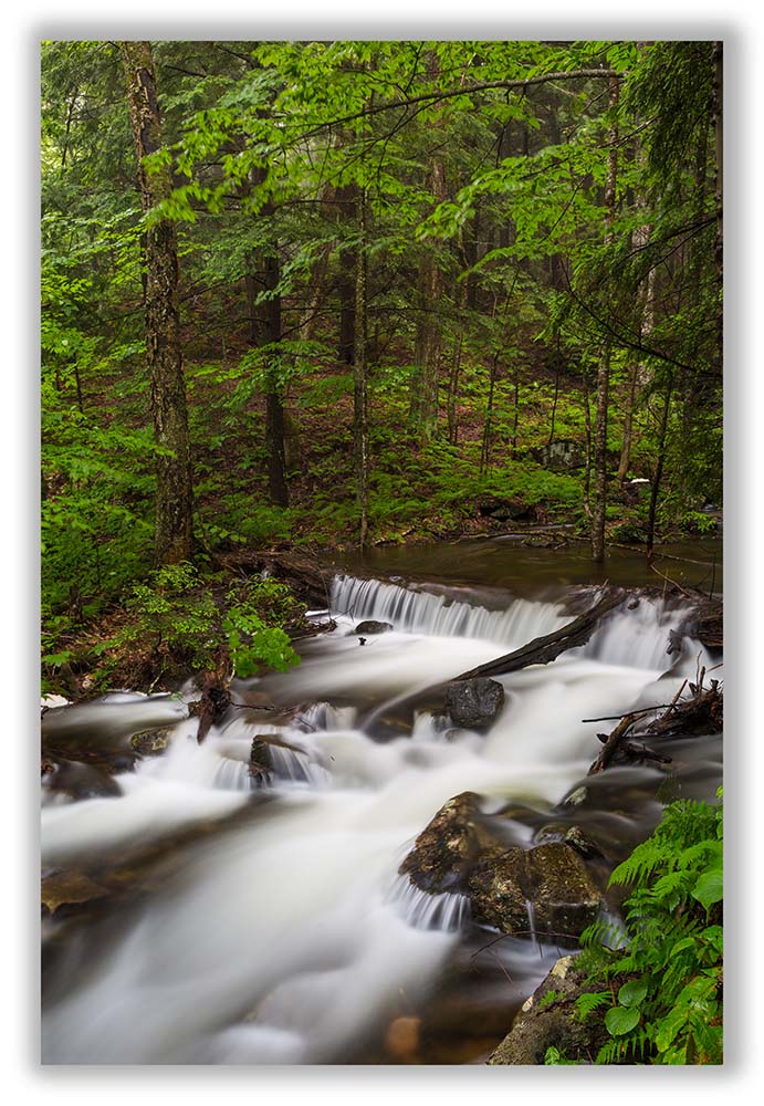 9 Cnr Stream-7 Tall Display.jpg