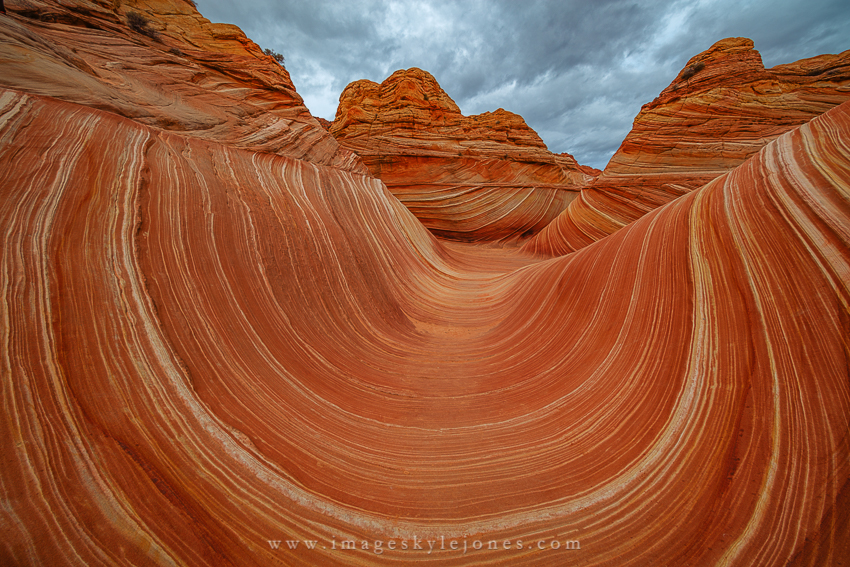 9510 Wide Wave_850.jpg
