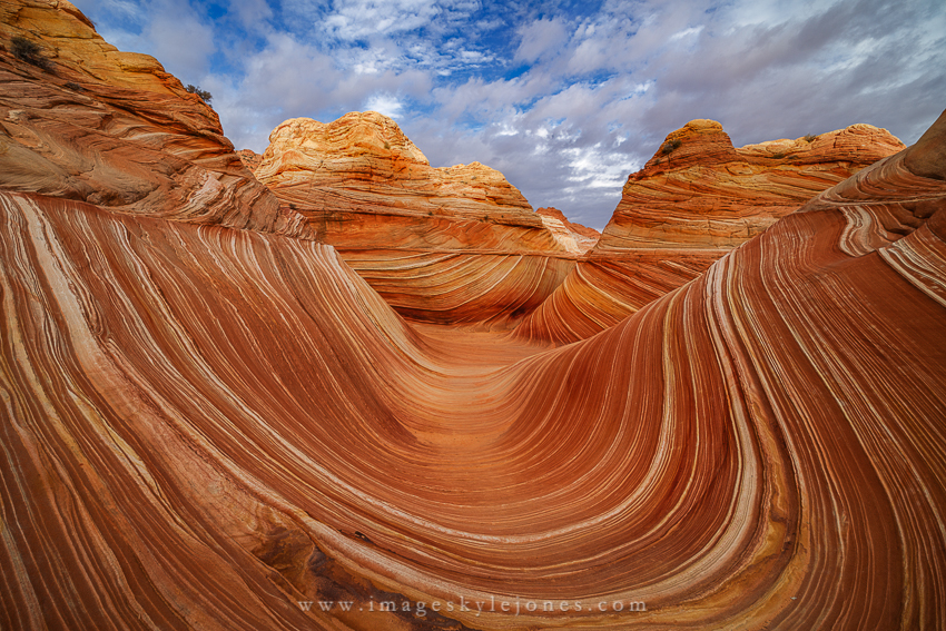 9531 The Wave_850.jpg