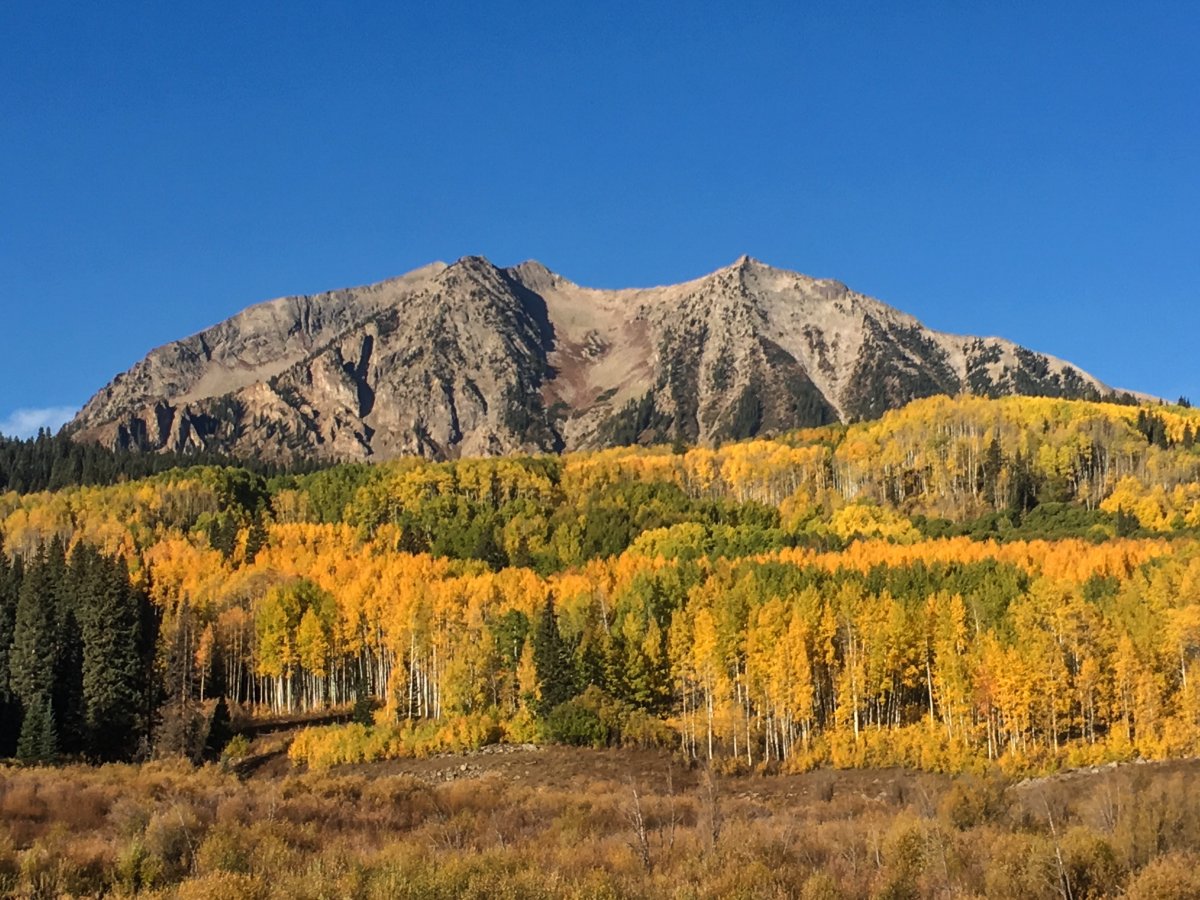 9552EA6F-1D3D-40DF-AB70-05663156409E.jpeg