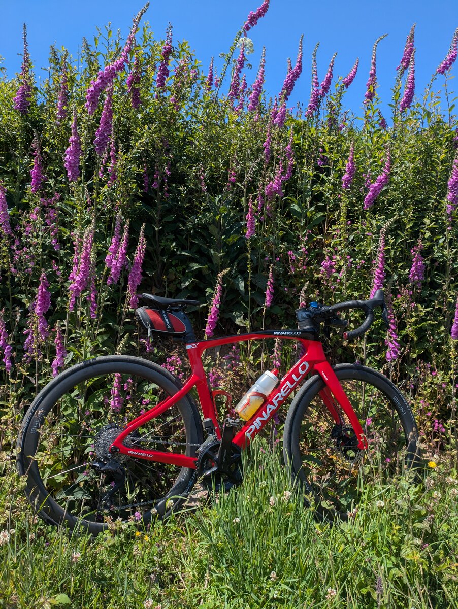 9_Bike.jpg