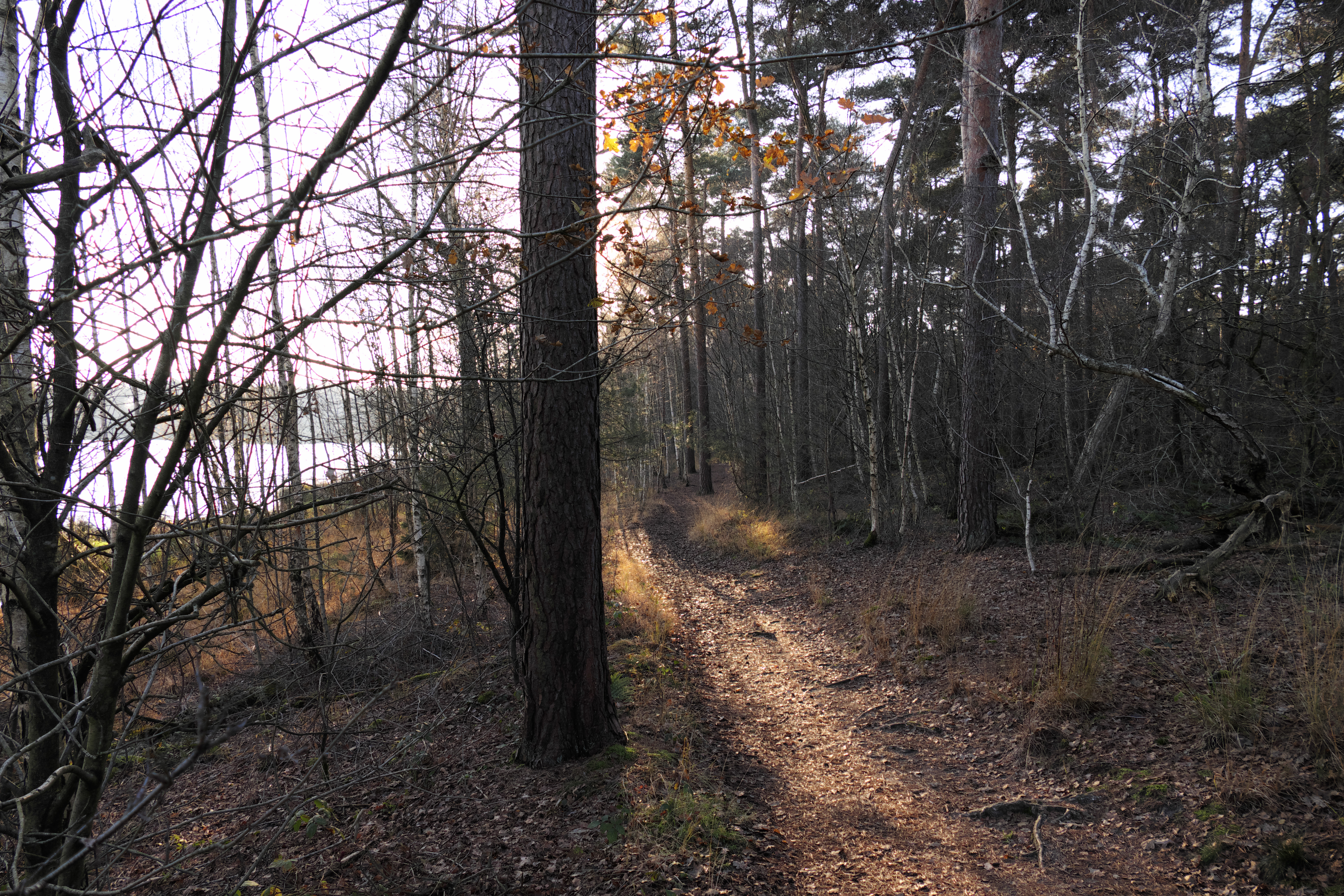 _1001980.jpg