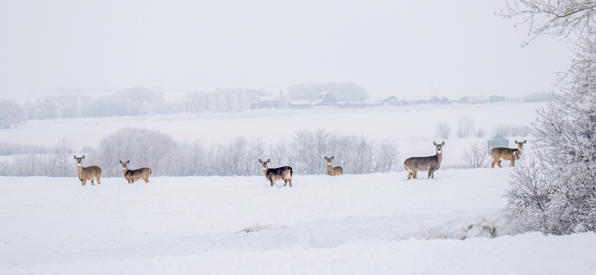 _1110376-Edit.jpg