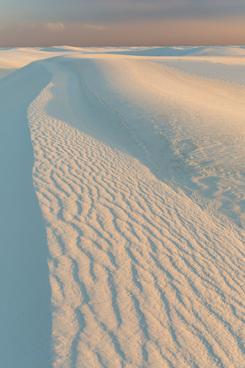 _19A4525-Edit.jpg