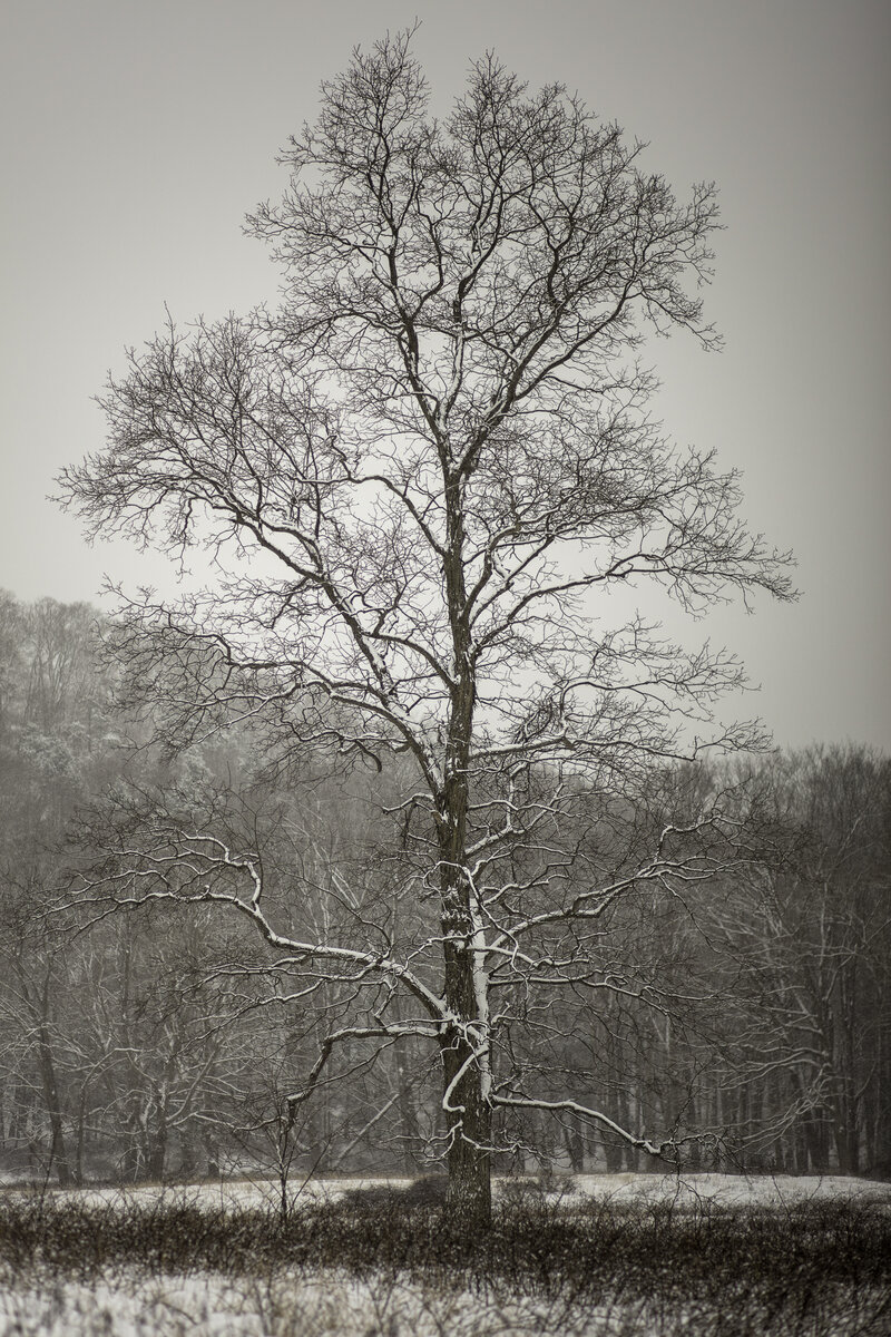 _28A0027-5-Edit-2.jpg