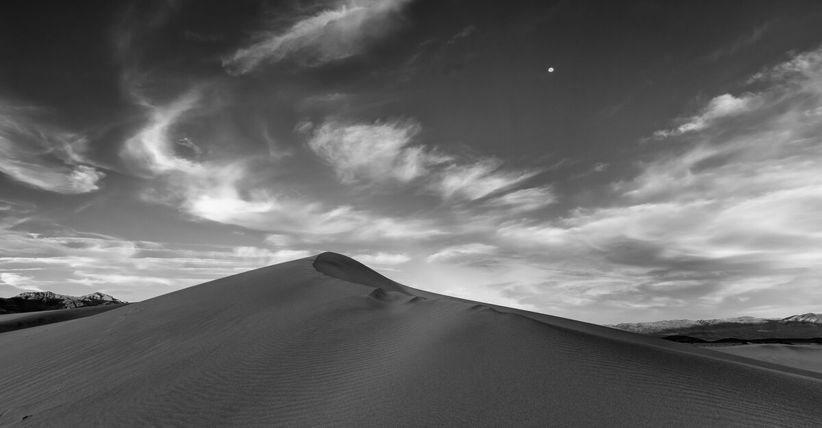 _28A0036-Edit-Edit.jpg