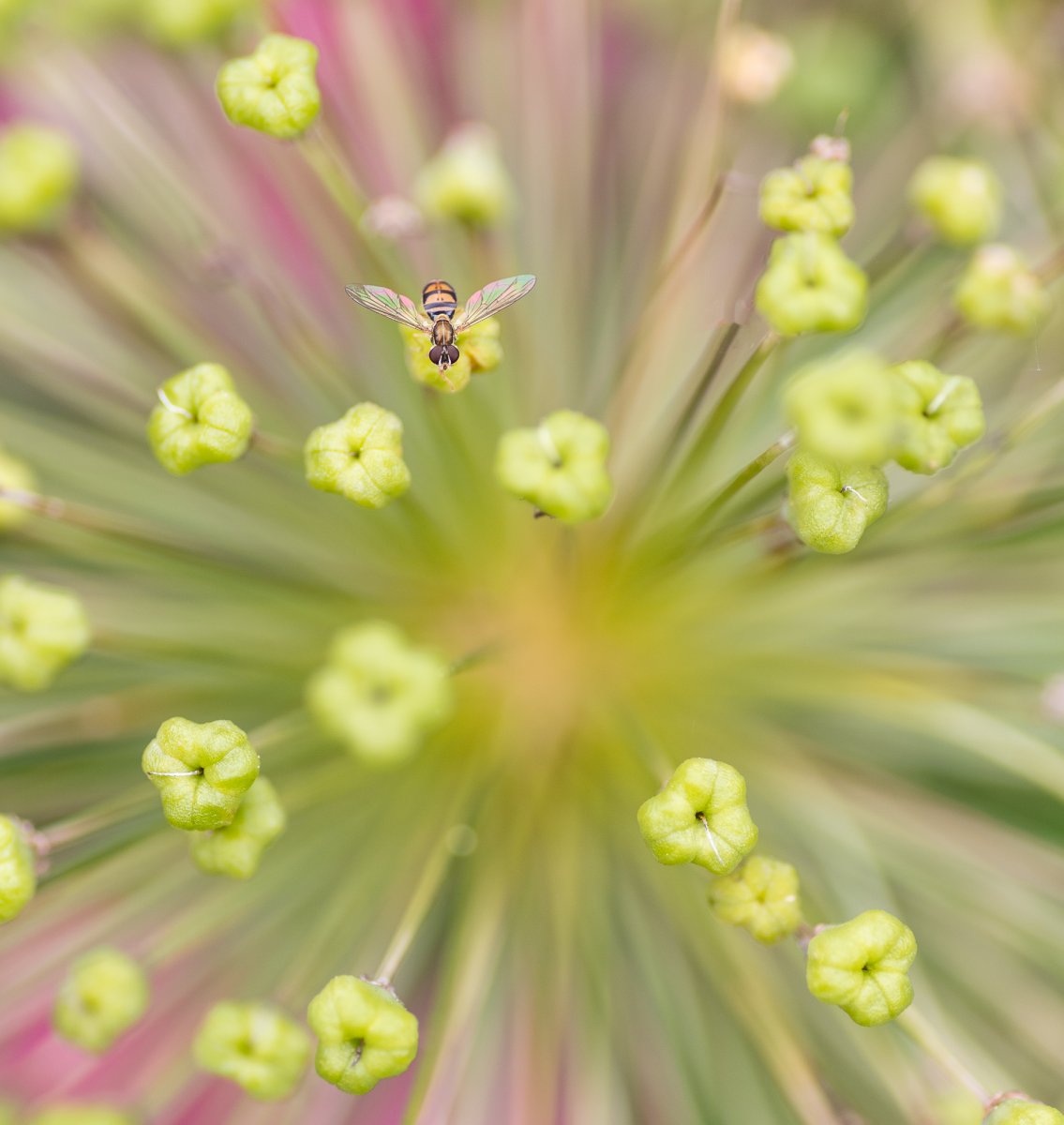 _28A0039-10-Edit.jpg