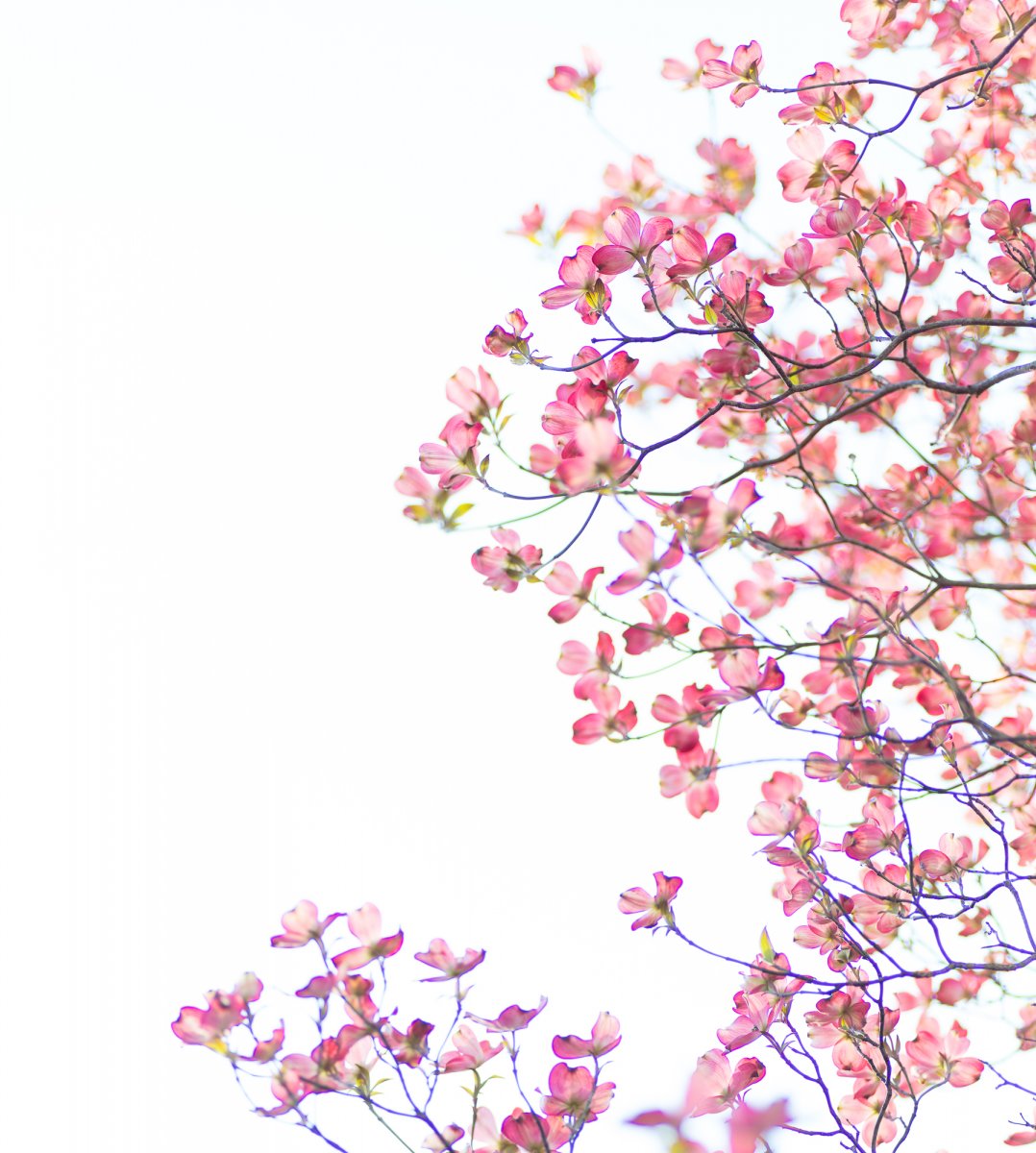 _28A0041-4-Edit.jpg