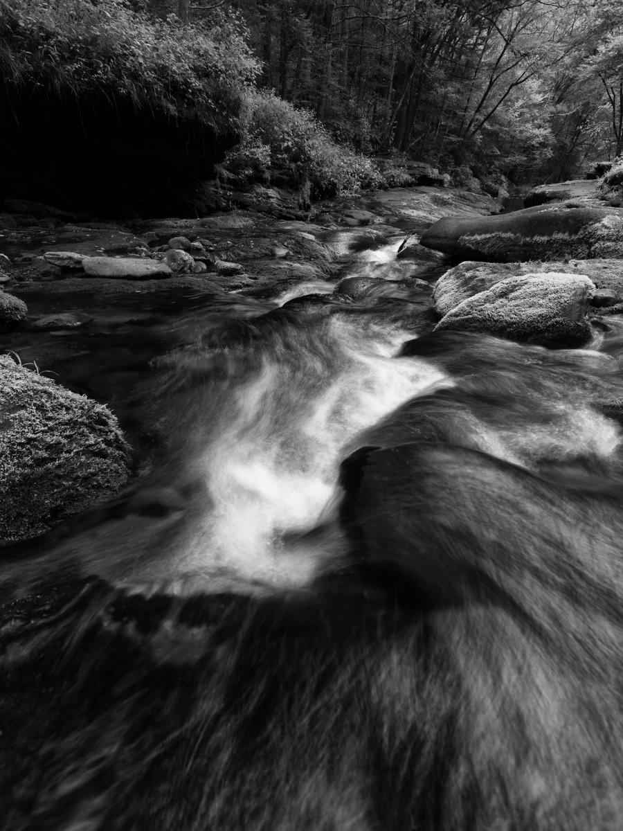 _28A0059-2-Edit.JPG