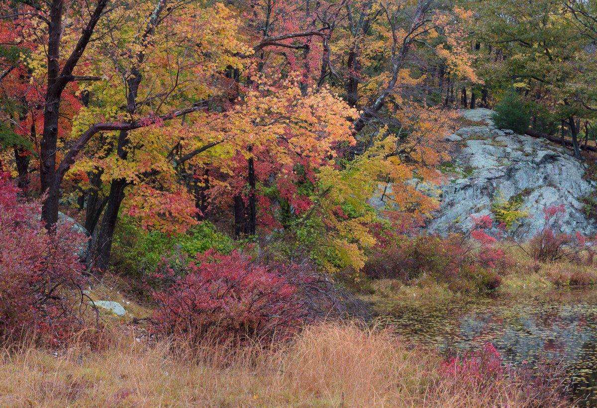 _28A0073-2-Edit.jpg