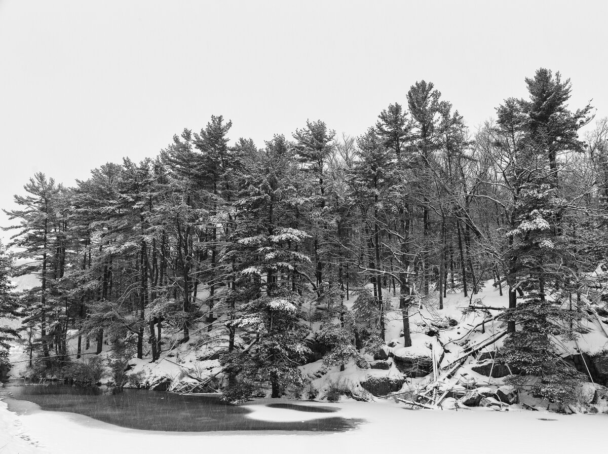 _28A0073-4-Edit.jpg