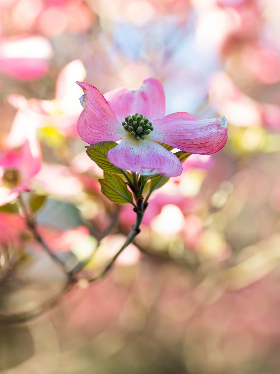 _28A0089-2-Edit.jpg
