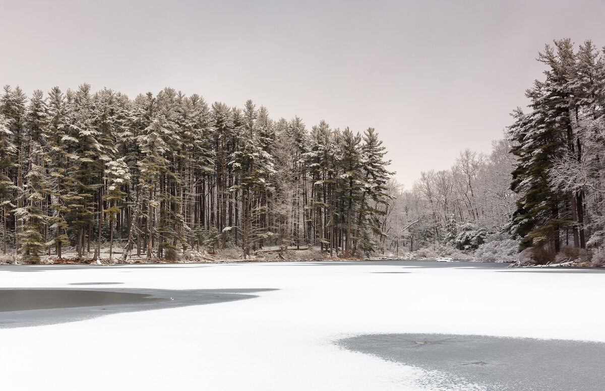 Snow day in the Hudson Valley Focal World