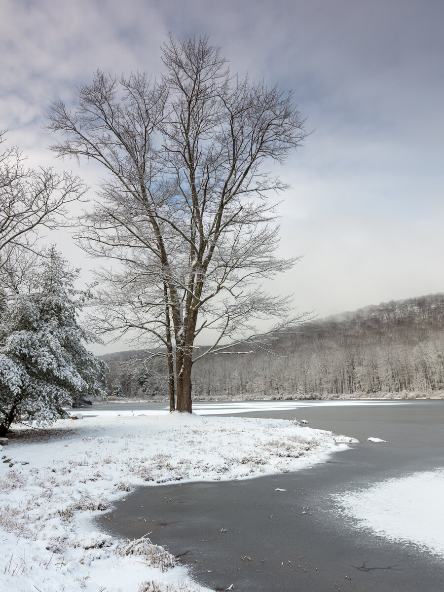 Snow day in the Hudson Valley Focal World