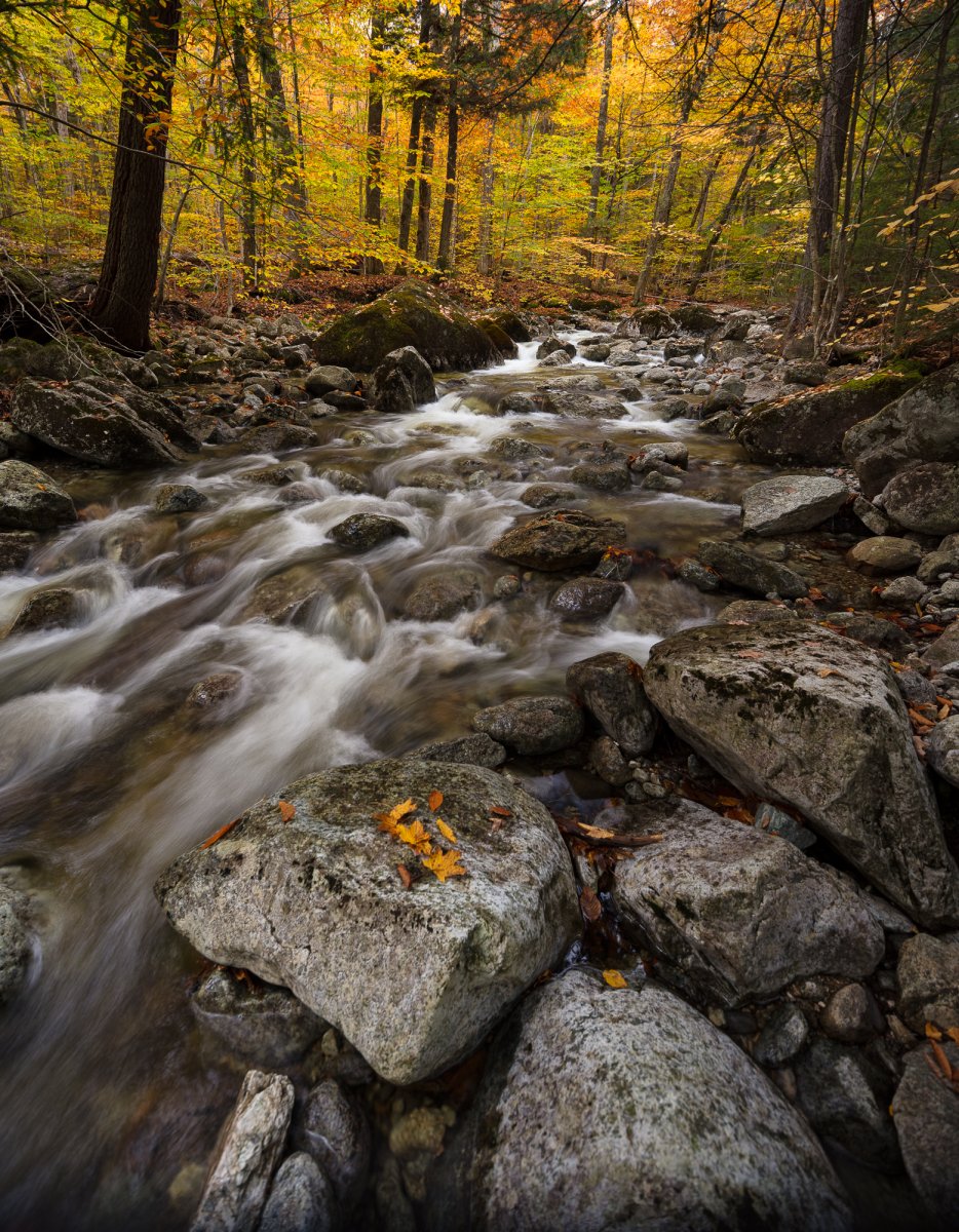 _28A0144-Pano-Edit-2.jpg
