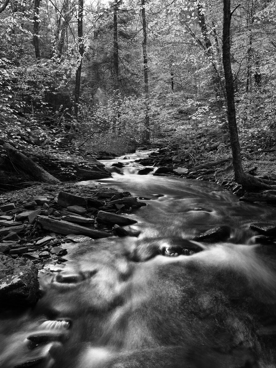 _28A0174-Edit.jpg