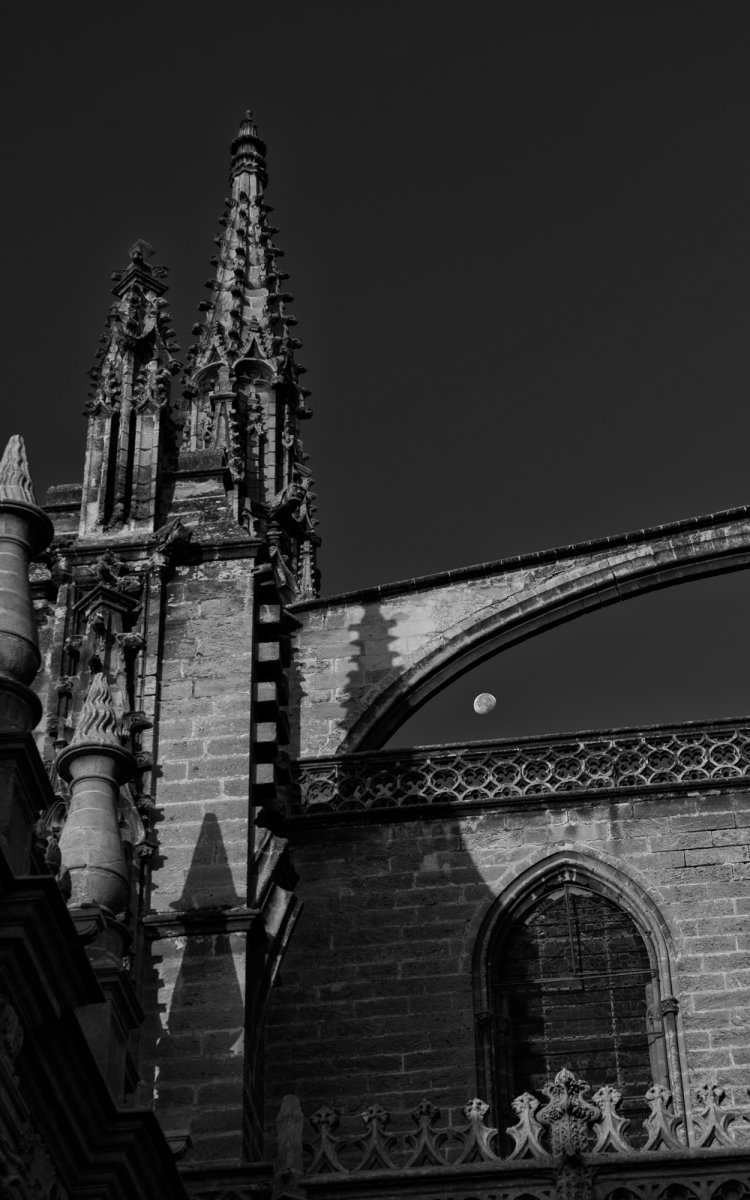 _28A0183-4-Edit.jpg