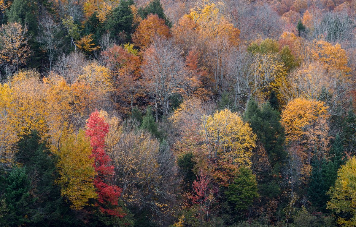 _28A0234-Edit.jpg