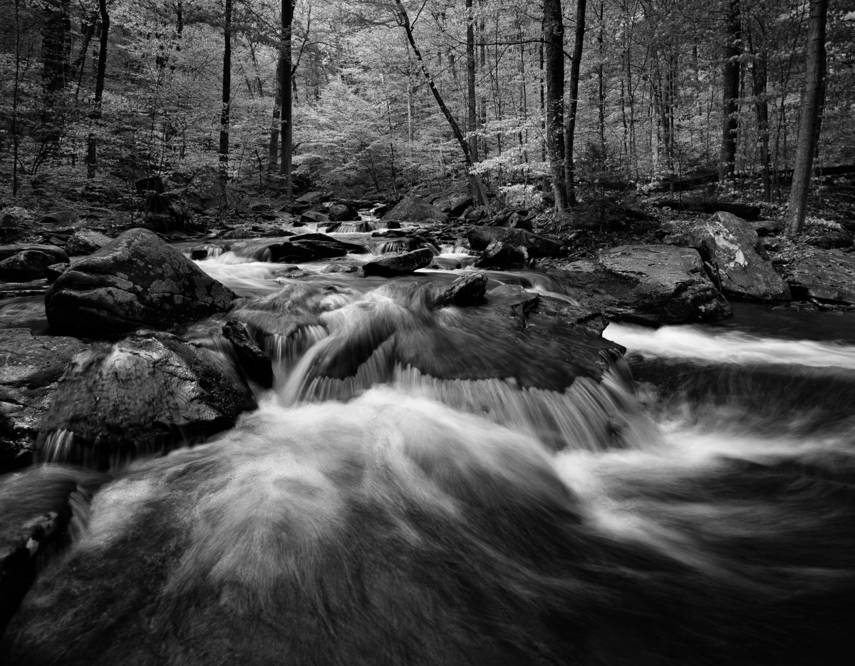 _28A0266-Pano-Edit.jpg