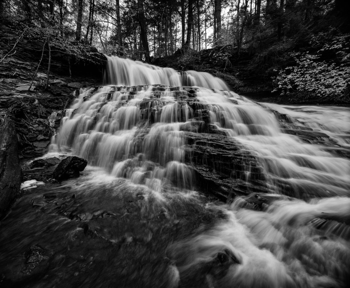 _28A0308-Pano-Edit.jpg