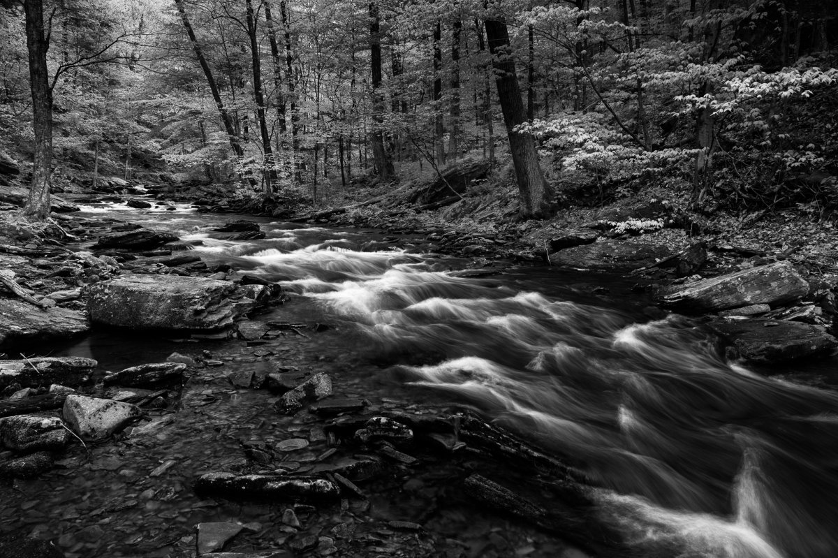 _28A0354-Edit.jpg