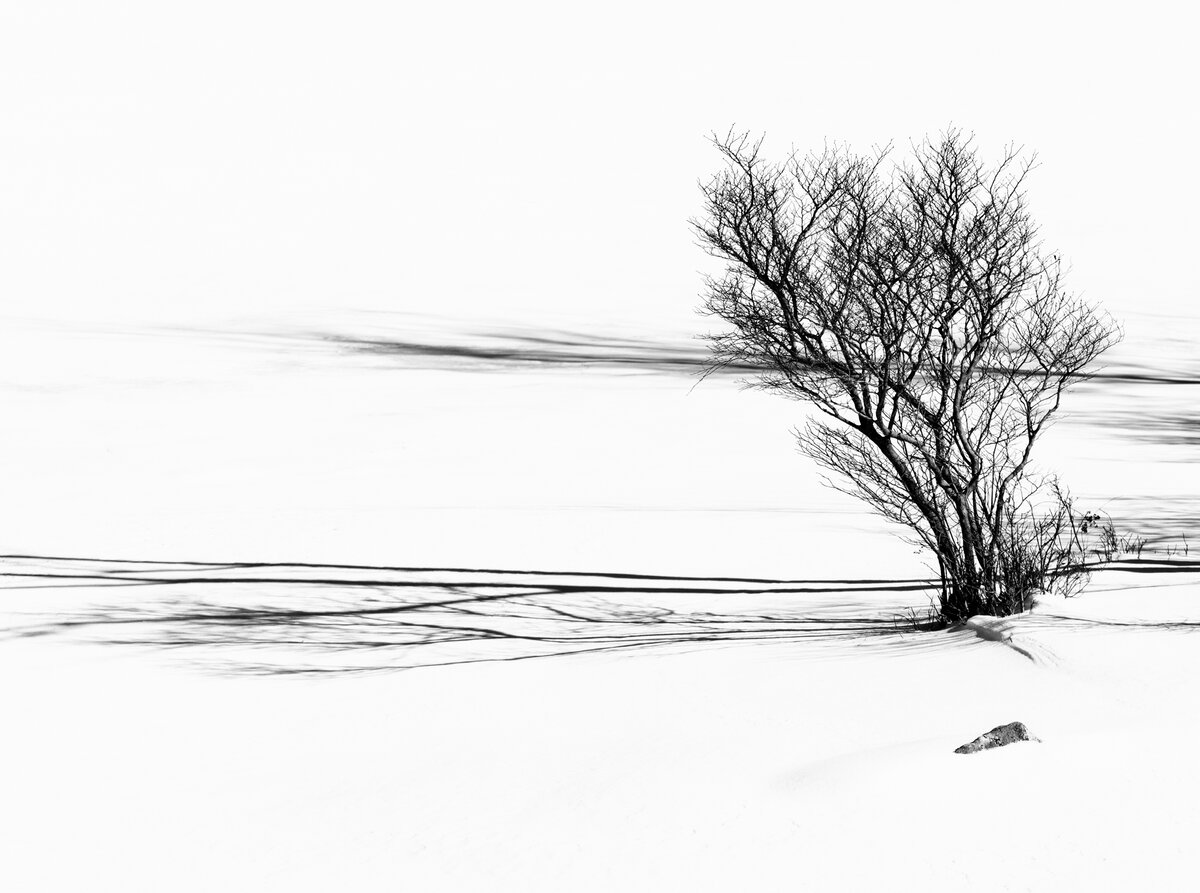 _28A0492-Edit.jpg