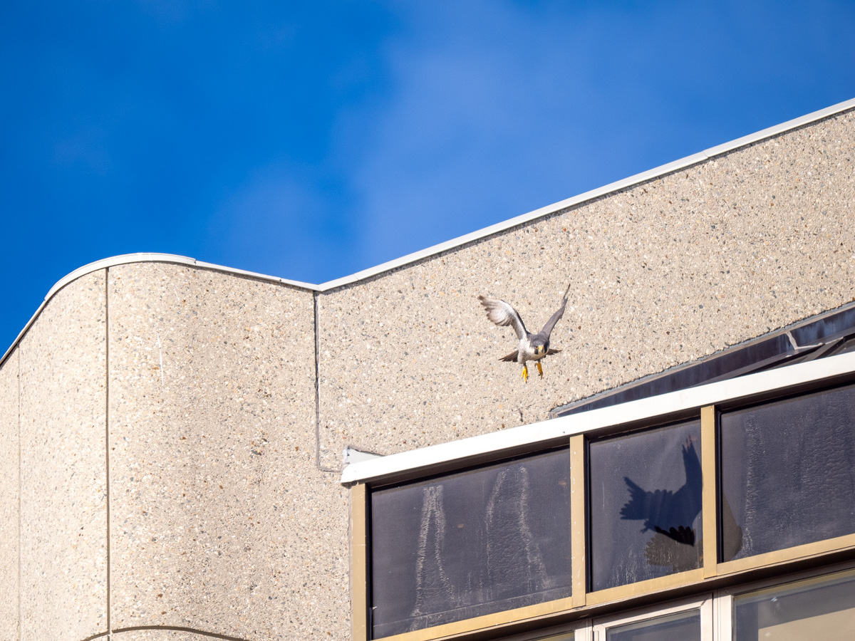 _4090217-2.jpg
