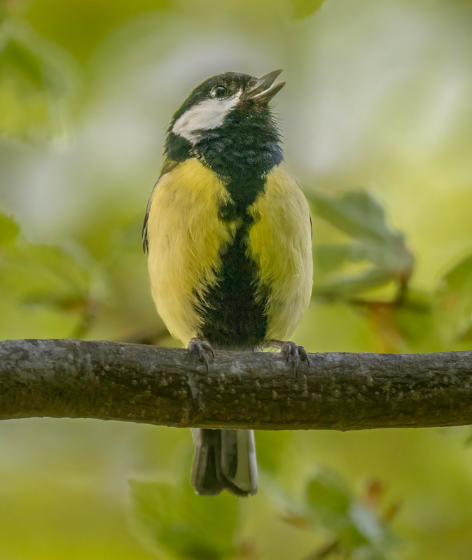 _5130616-Edit.jpg