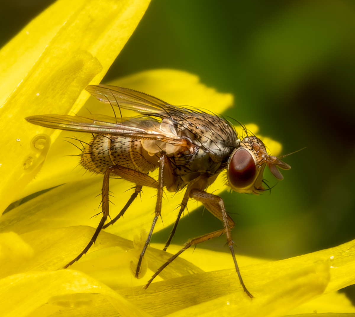 _5301750-Edit.jpg
