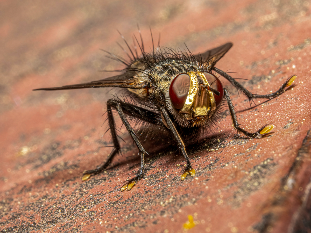 _6051845-Edit.jpg