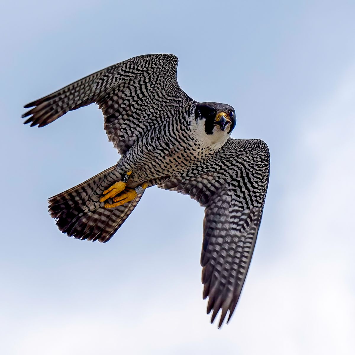 _6290224-Edit.jpg