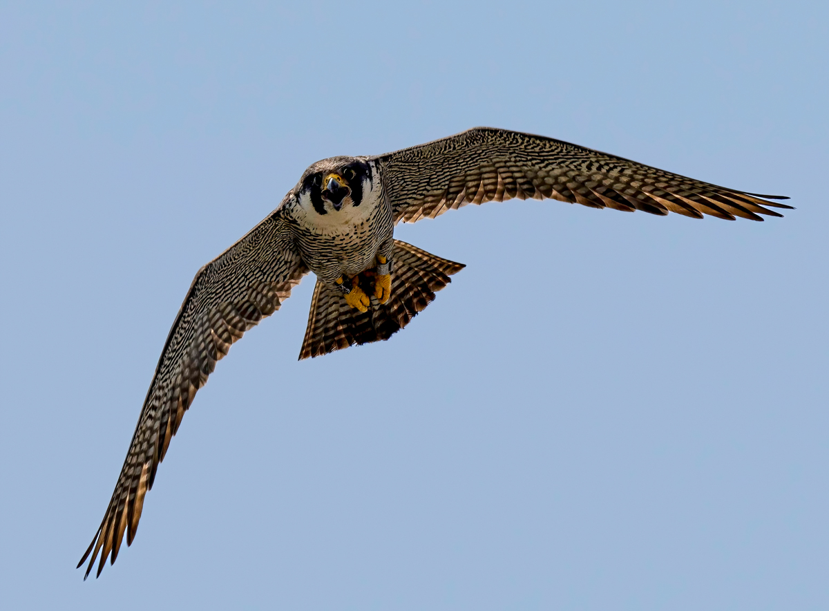 _6290280-Edit.jpg