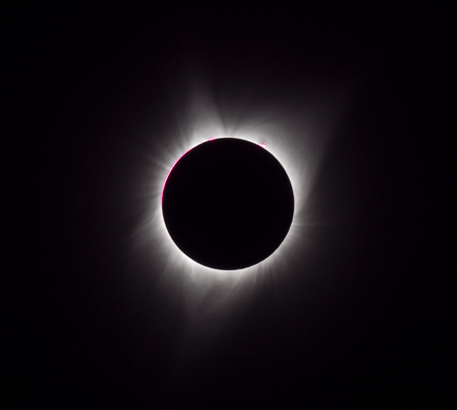 _8210707.jpg