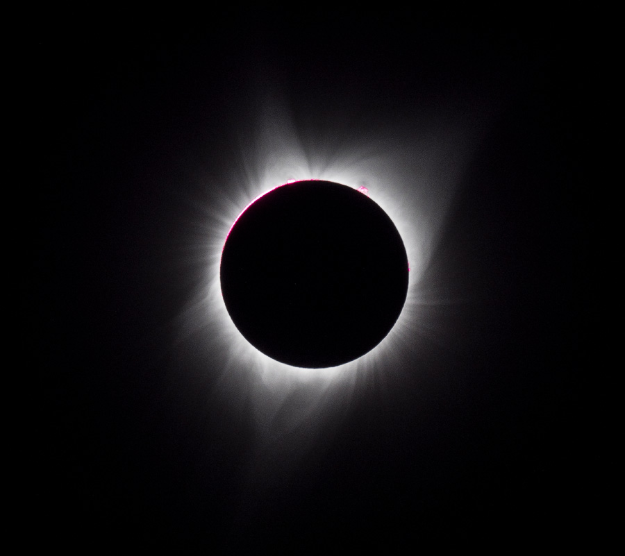 _8210708.jpg