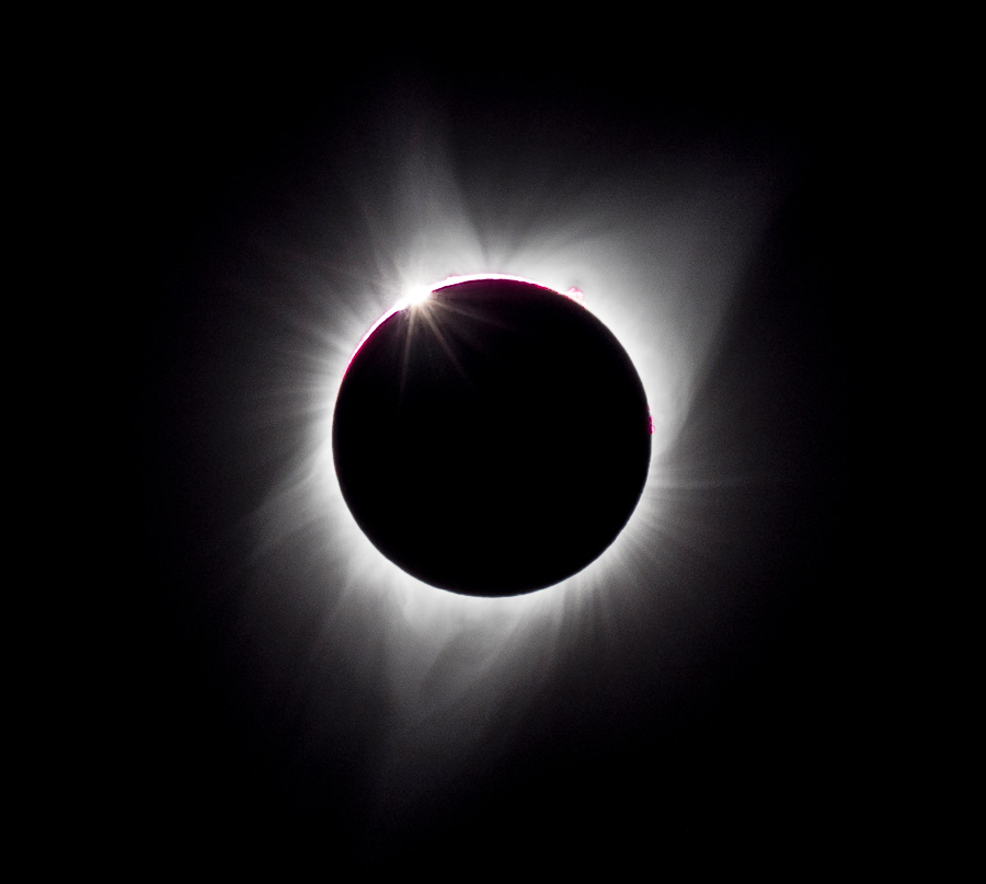 _8210709.jpg