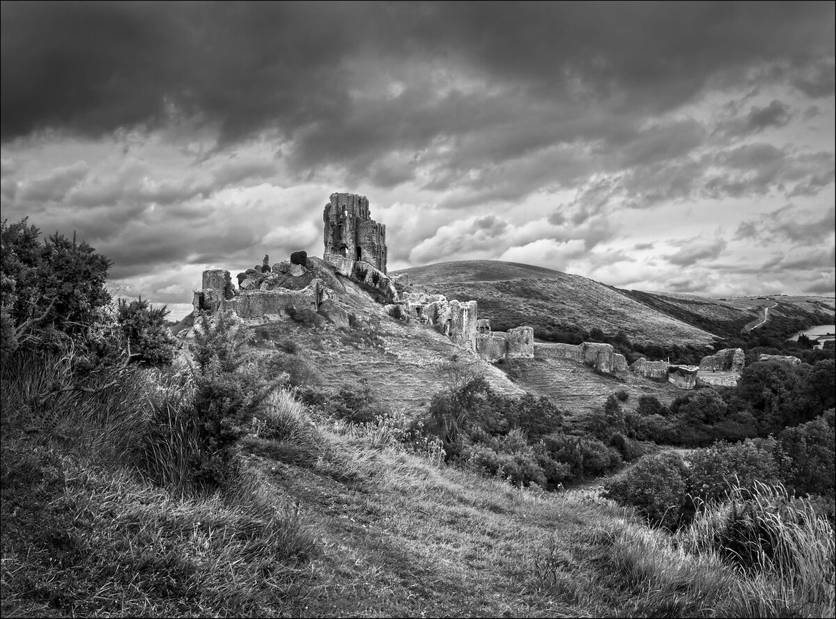 _9110048 as Smart Object-v5 (2).jpg