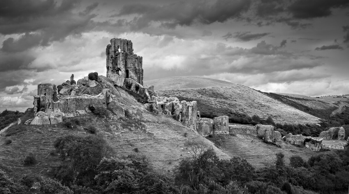 _9110058-1 copy (2).jpg