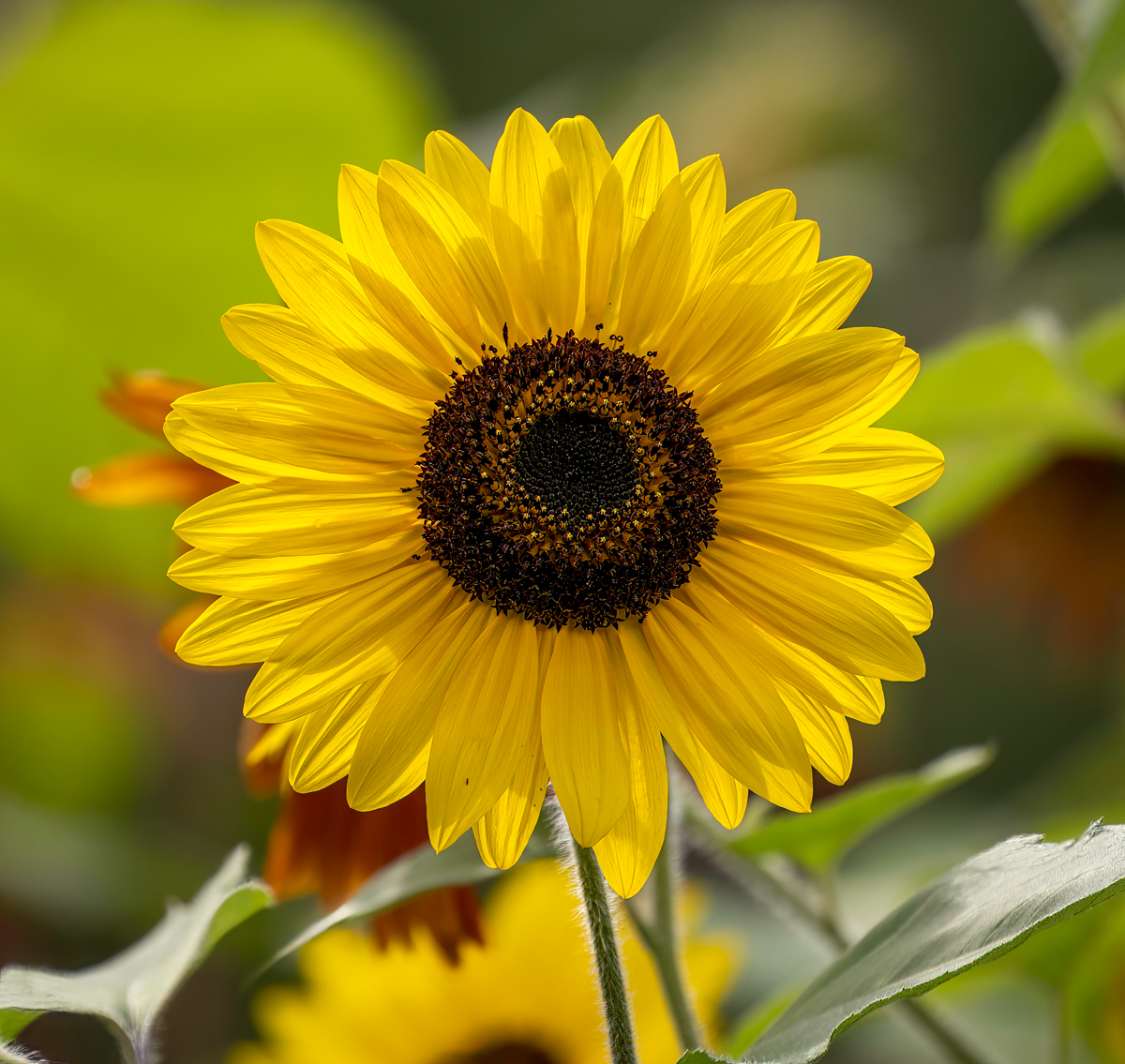 _9230736-Edit.jpg