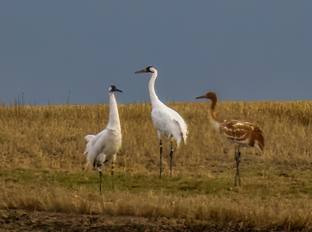 _A131353-Edit-Edit.jpg