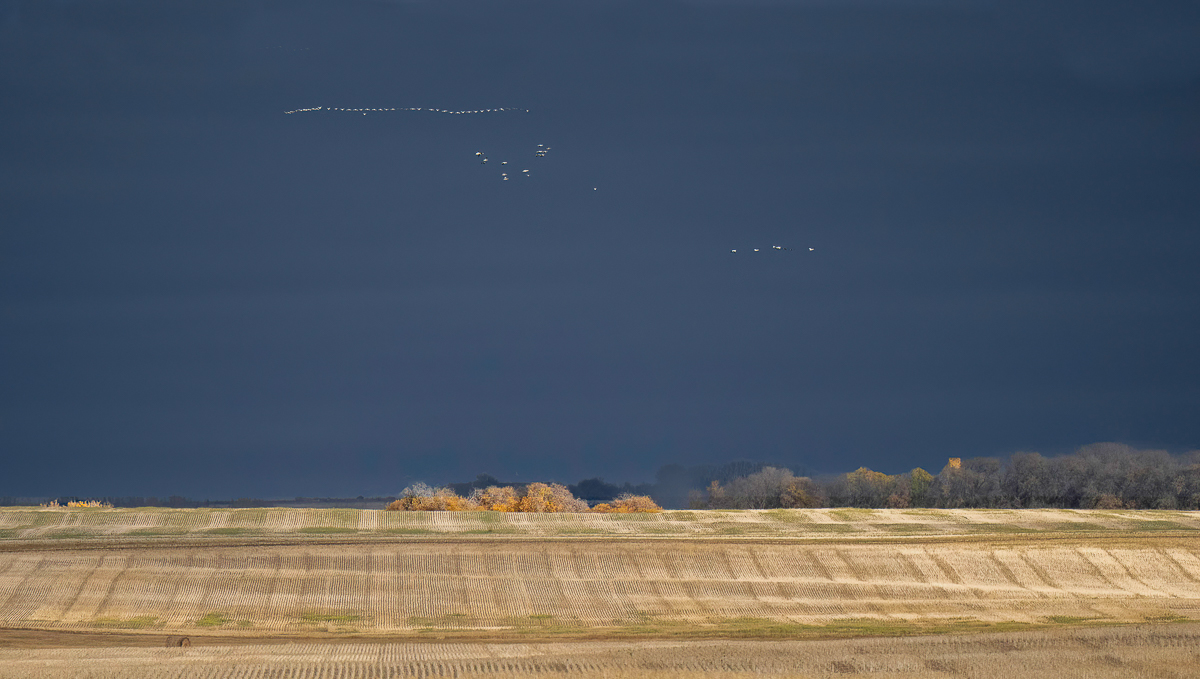 _A131495-Edit-Edit.jpg