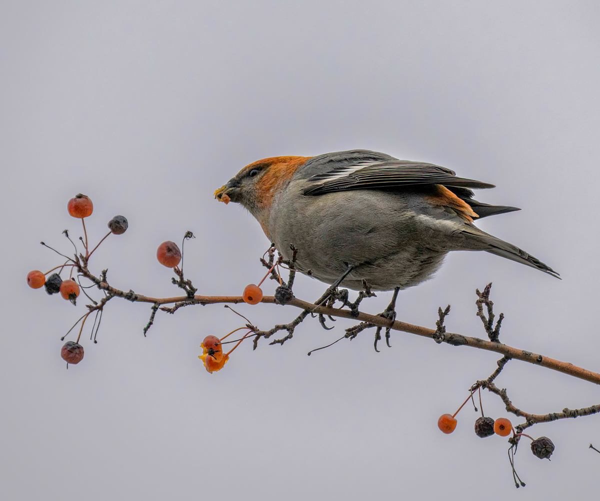 _B031747-Edit.jpg