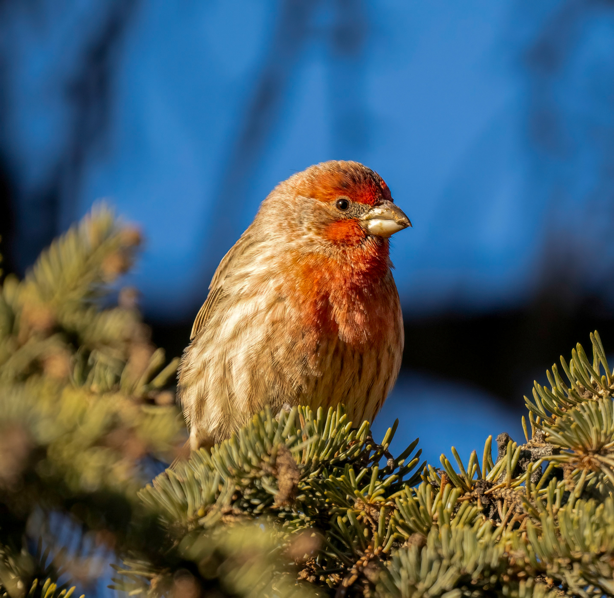 _B263284-Edit.jpg