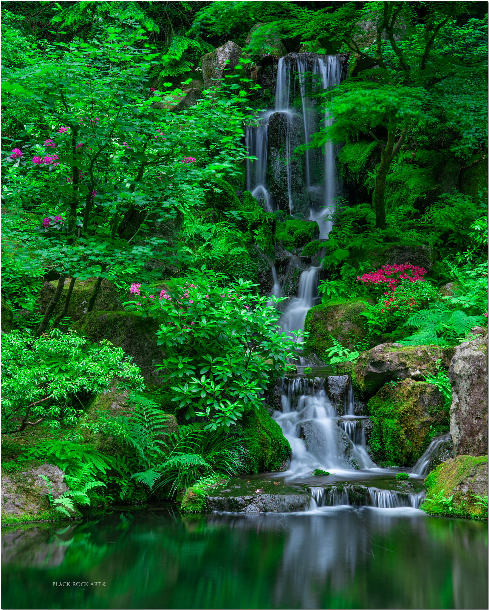 _B4C0652JapGardenFall45CropFB.jpg