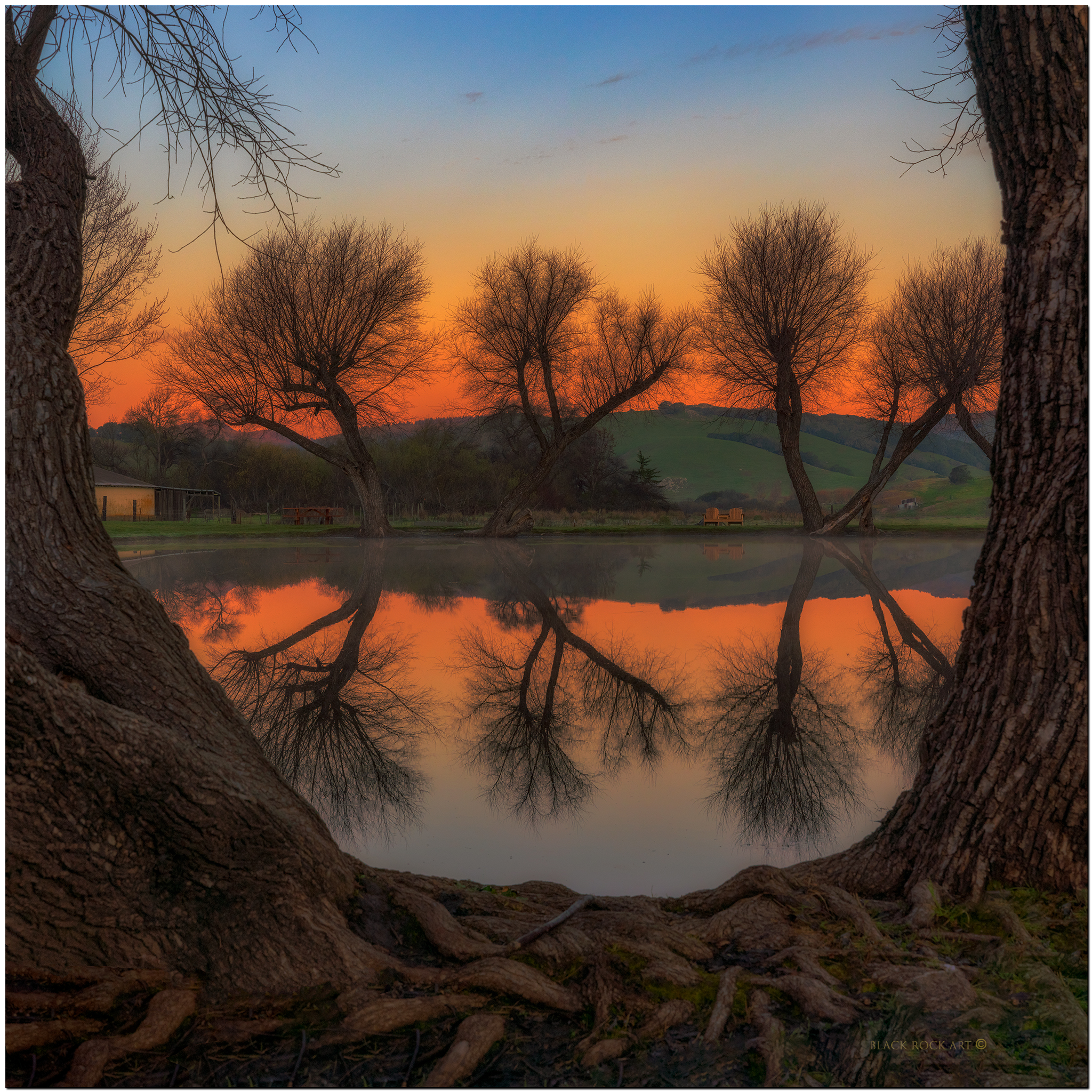 _BRC4244-willow-PanoFB.jpg