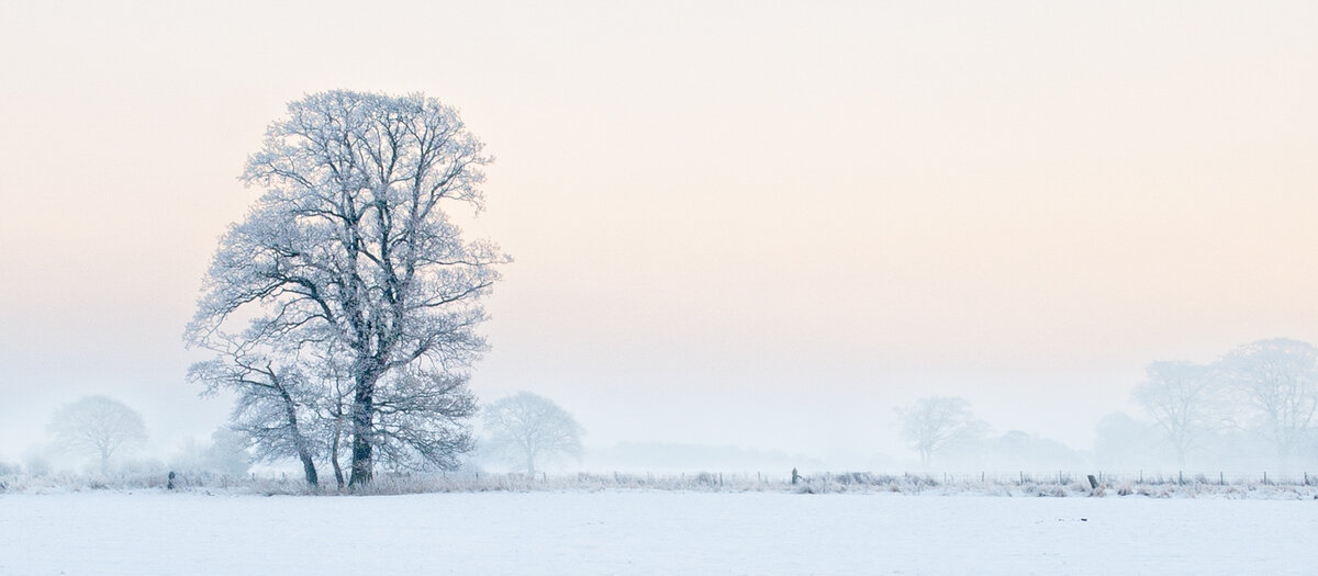 _C059819-1 from laptop.jpg